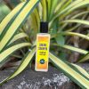 banan shampoo